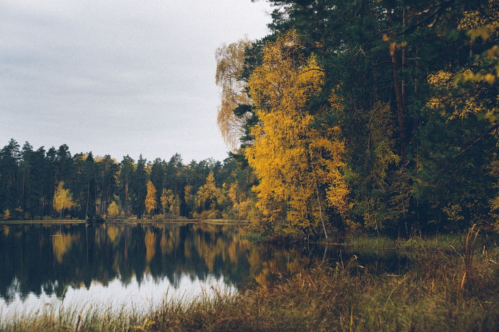 Photograph by Денис