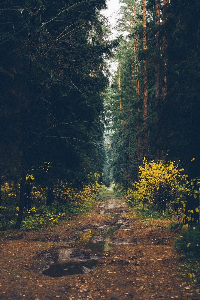 Photograph by Денис