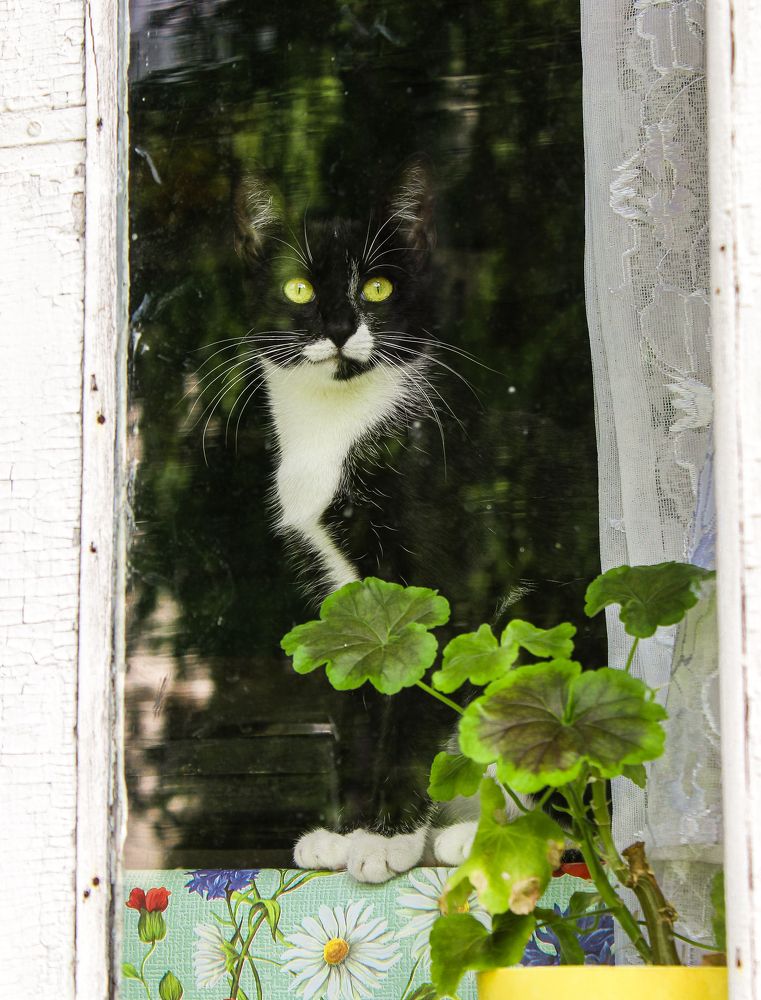 Photograph by Ольга Ситникова