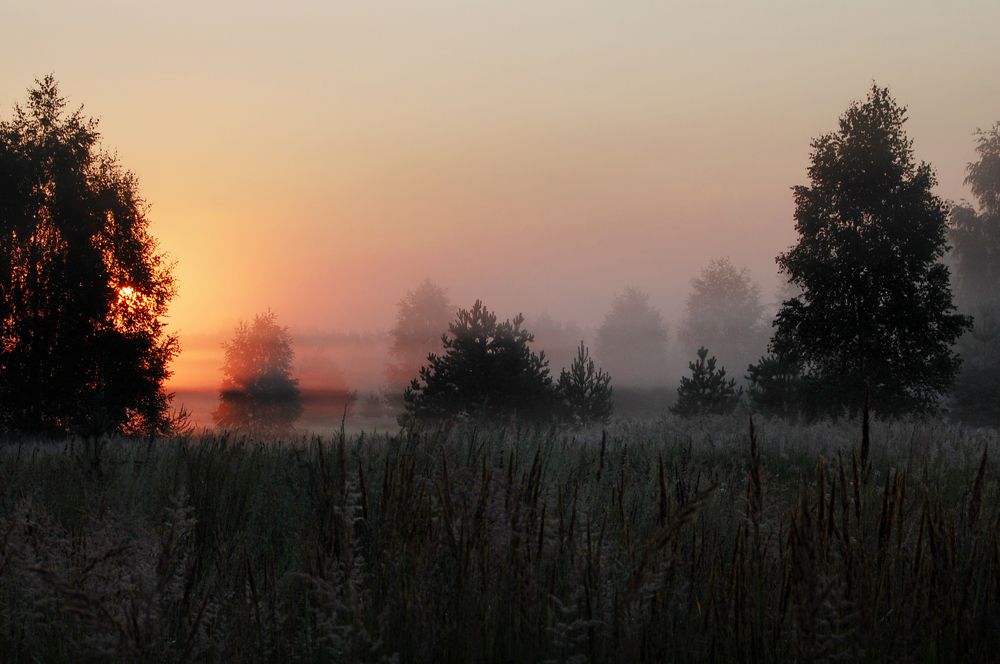 Photograph by Майя Синичкина