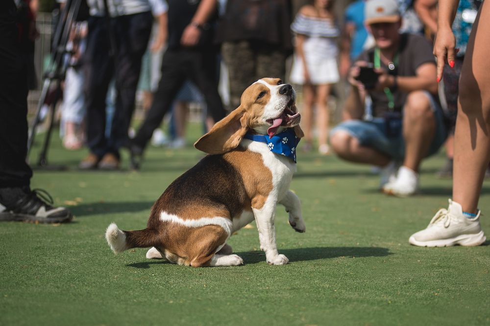 Photograph by Курашкина Анна