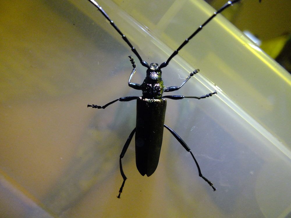 Photograph by Георгий Салюков