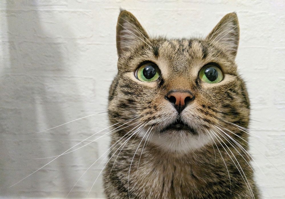 Photograph by Наталья Соловьева