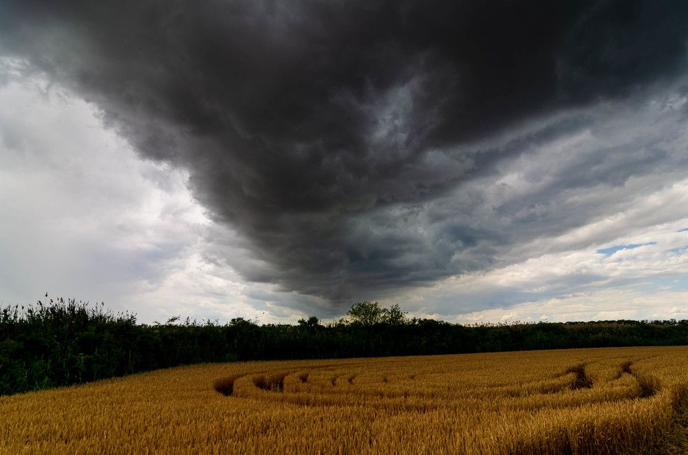 Photograph by Редько Александр