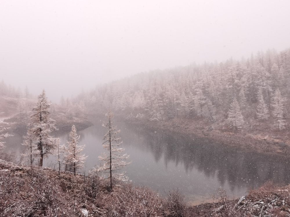 Photograph by Константин