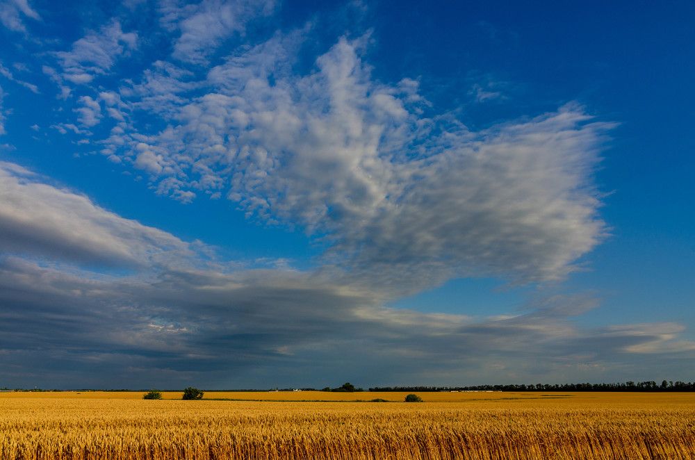 Photograph by Редько Александр