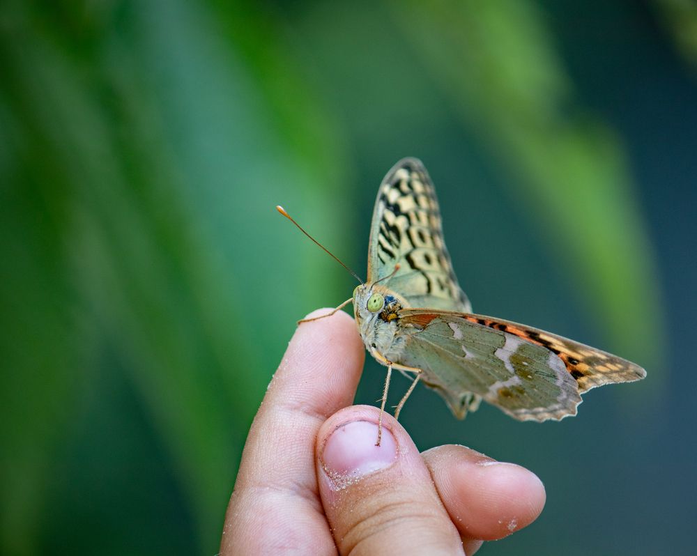 Photograph by Татьяна Новикова