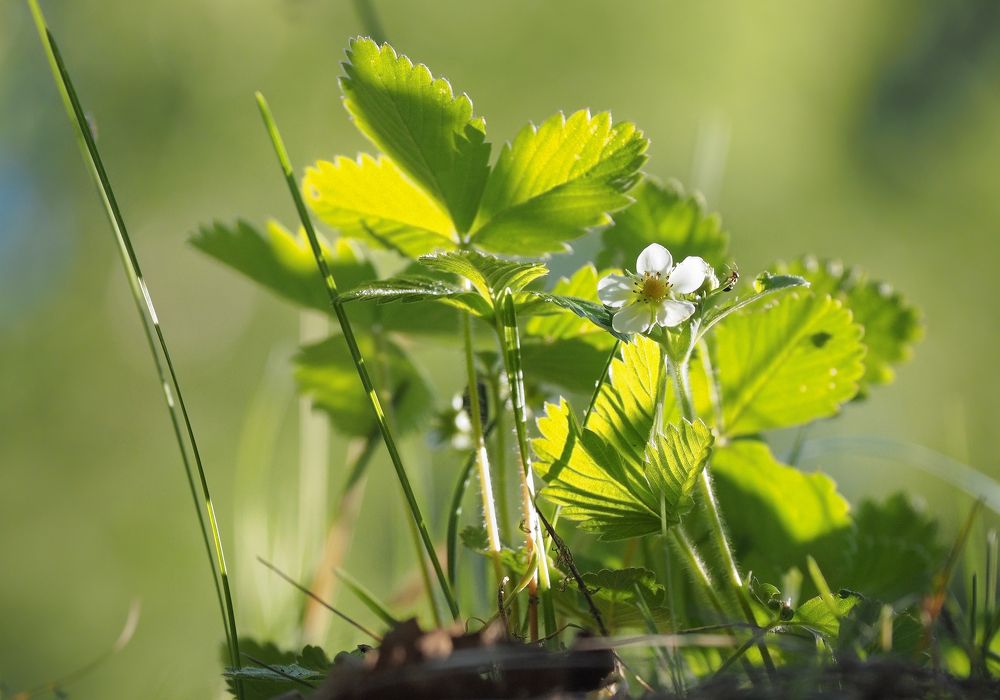 Photograph by Александр Попов