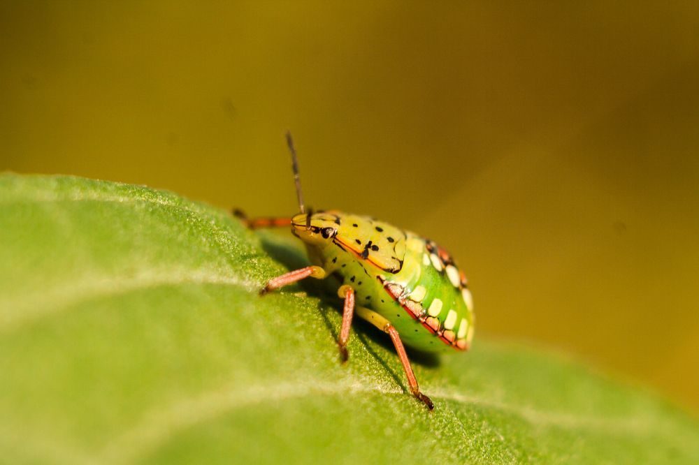 Photograph by Редько Александр