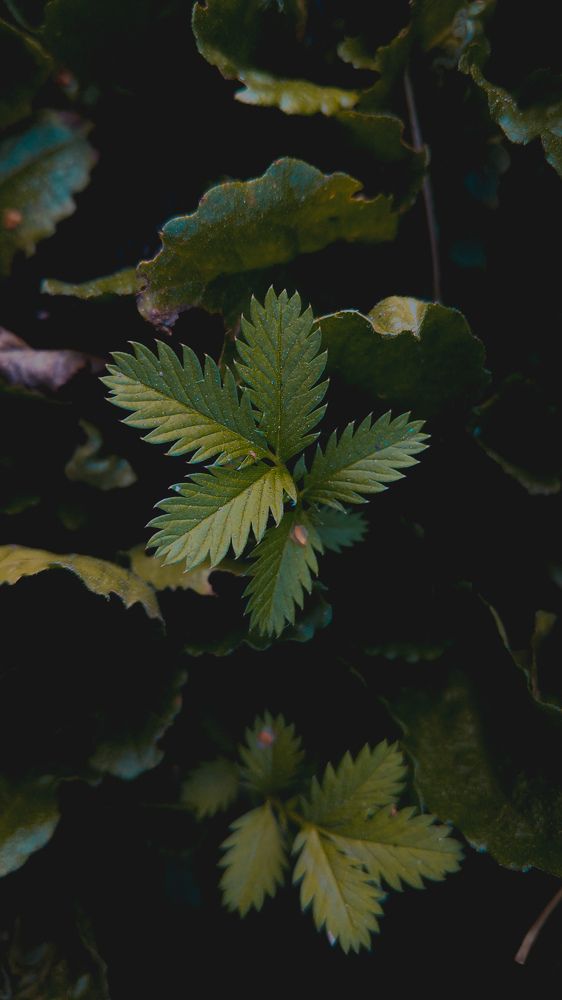 Photograph by Дарья Макаревич