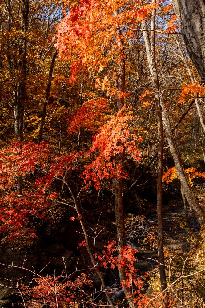 Photograph by Николай Чухрай