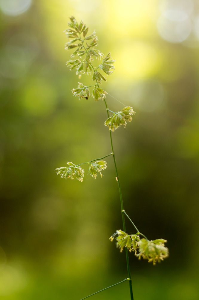 Photograph by Евгения Антропова