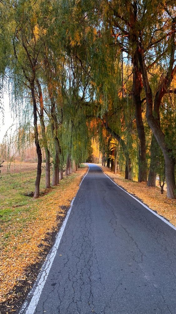 Photograph by Дмитрий Балеевских