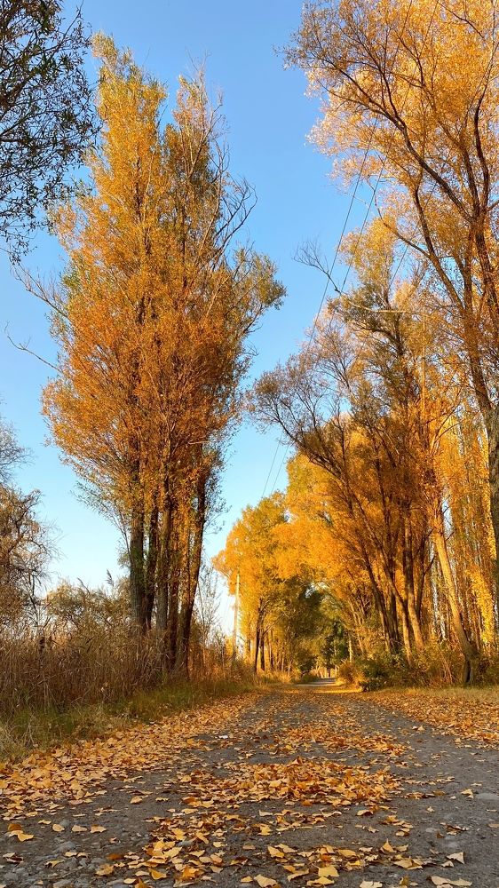 Photograph by Дмитрий Балеевских