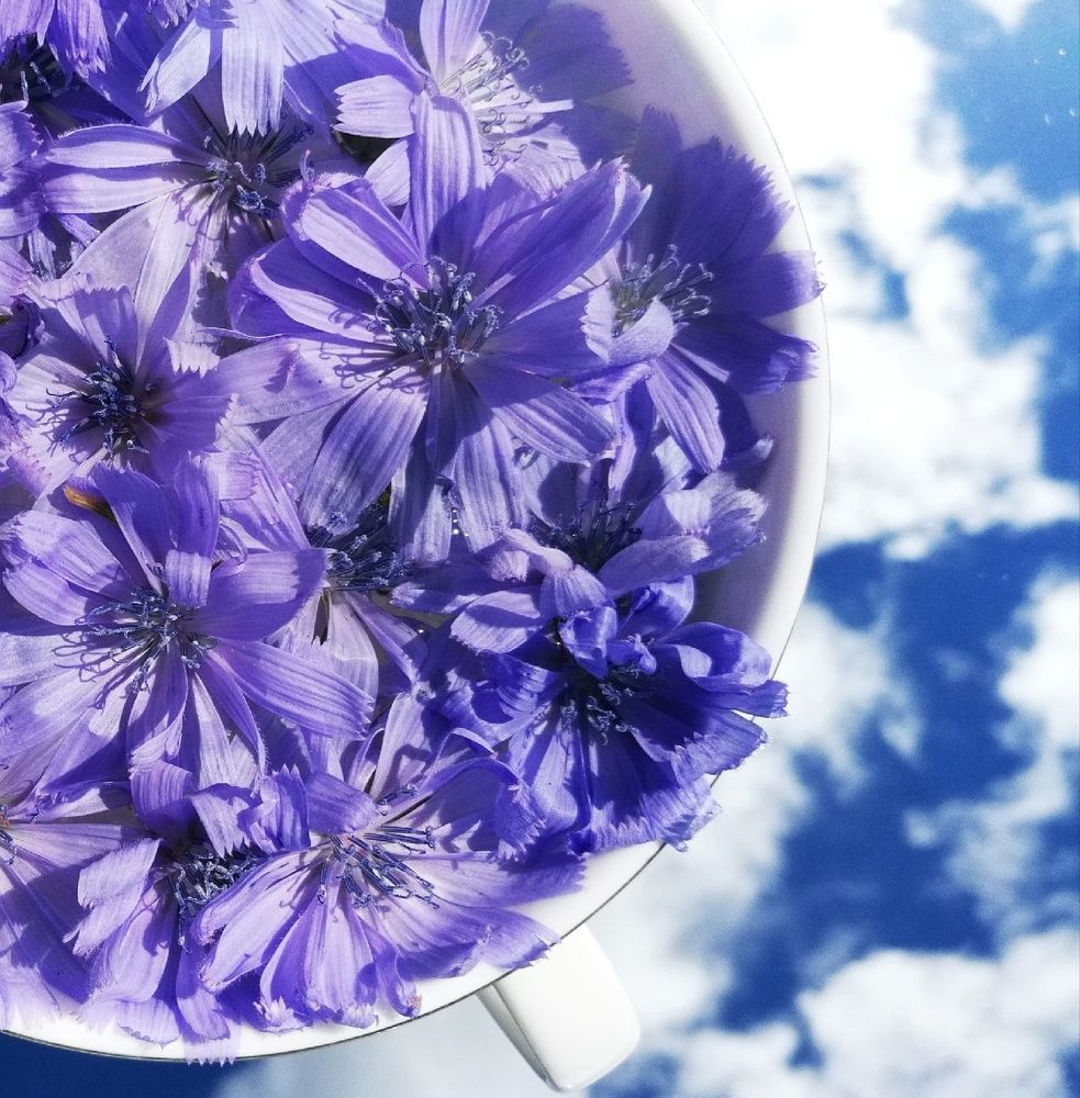 Photograph by Ирина Алпацкая