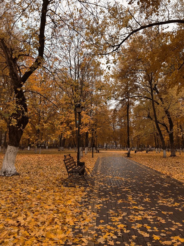 Photograph by Диана Янковская