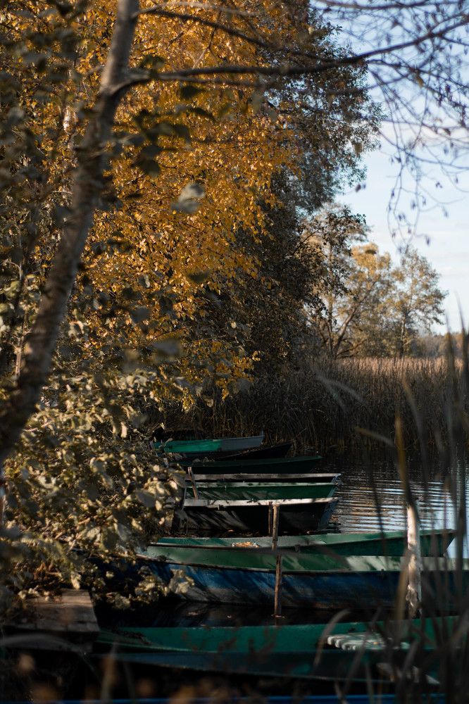 Photograph by Диана Янковская