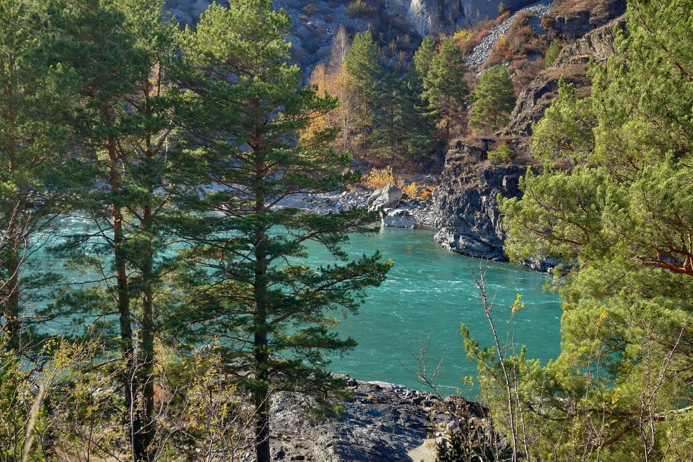 Photograph by Сергей Гребенников