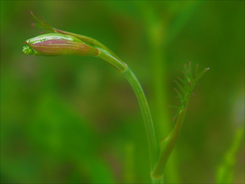 Photograph by Людмила Кононова