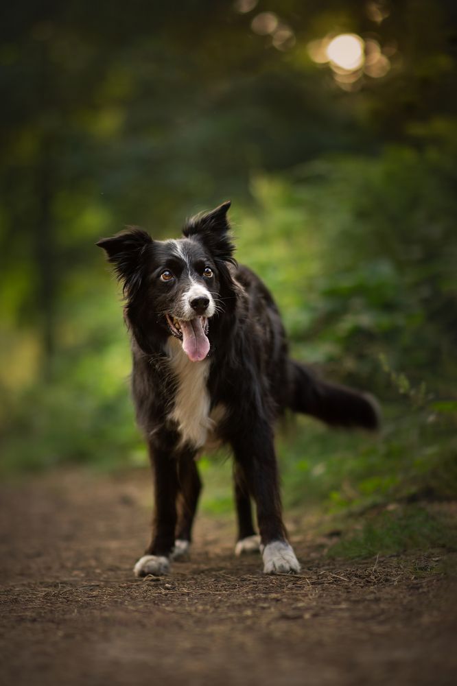 Фотография автора By Meert Eline