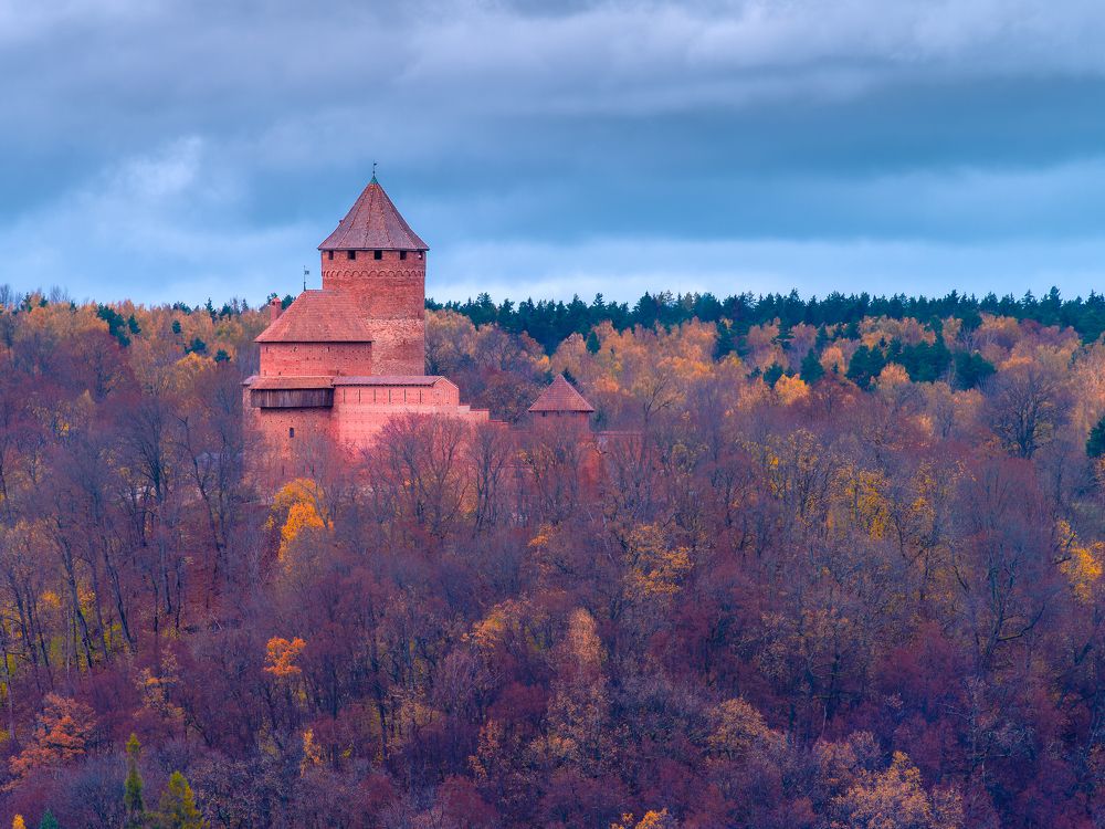 Фотография автора Вадим Демченко