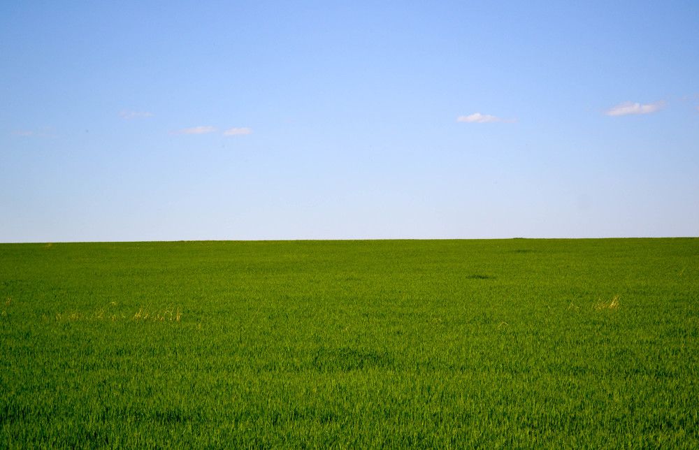 Photograph by Евгения Антропова