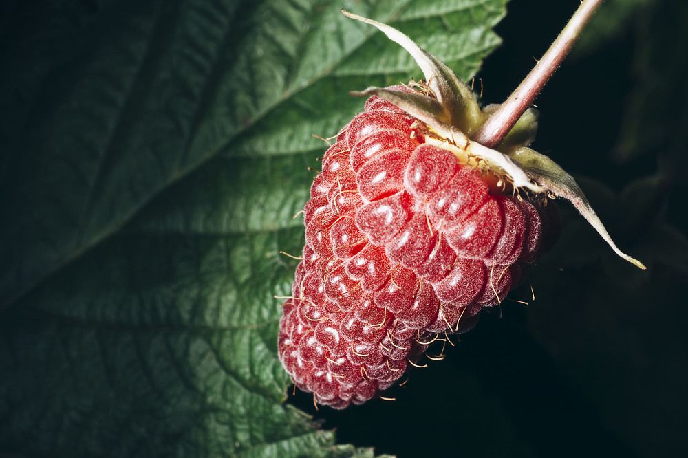 Photograph by Виктор Степанов