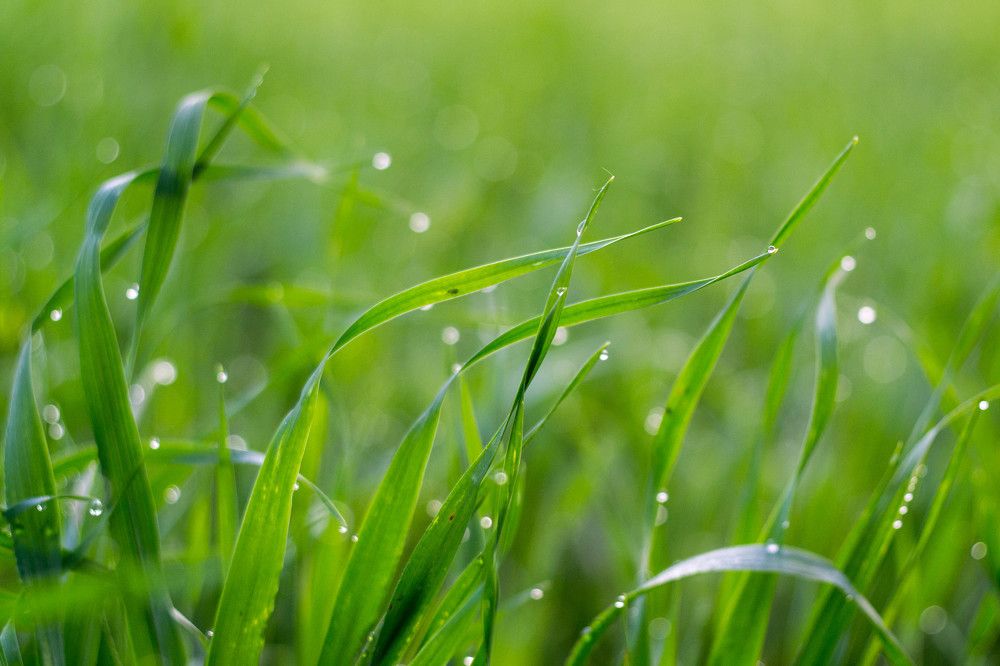 Photograph by Евгения Антропова