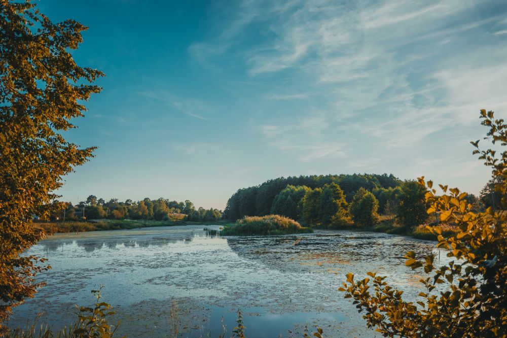 Photograph by Дарья Гомза