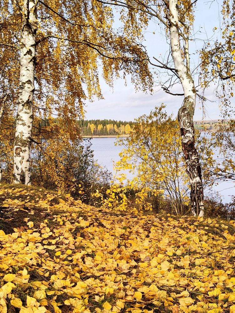Photograph by Александр Кокурин