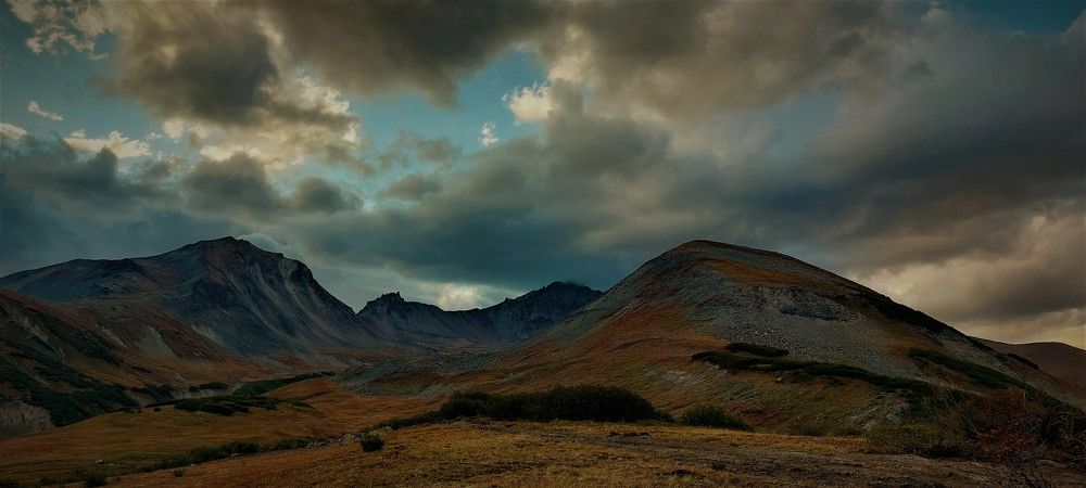 Шиш вечерний