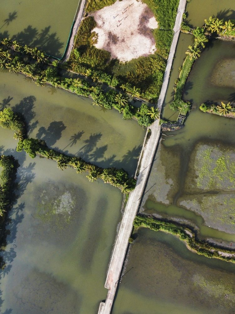 Photograph by Aneesh Kumar