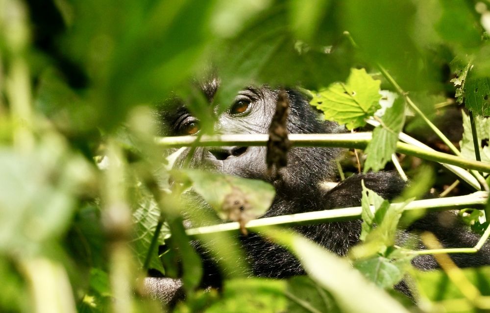 Photograph by Merche Llobera