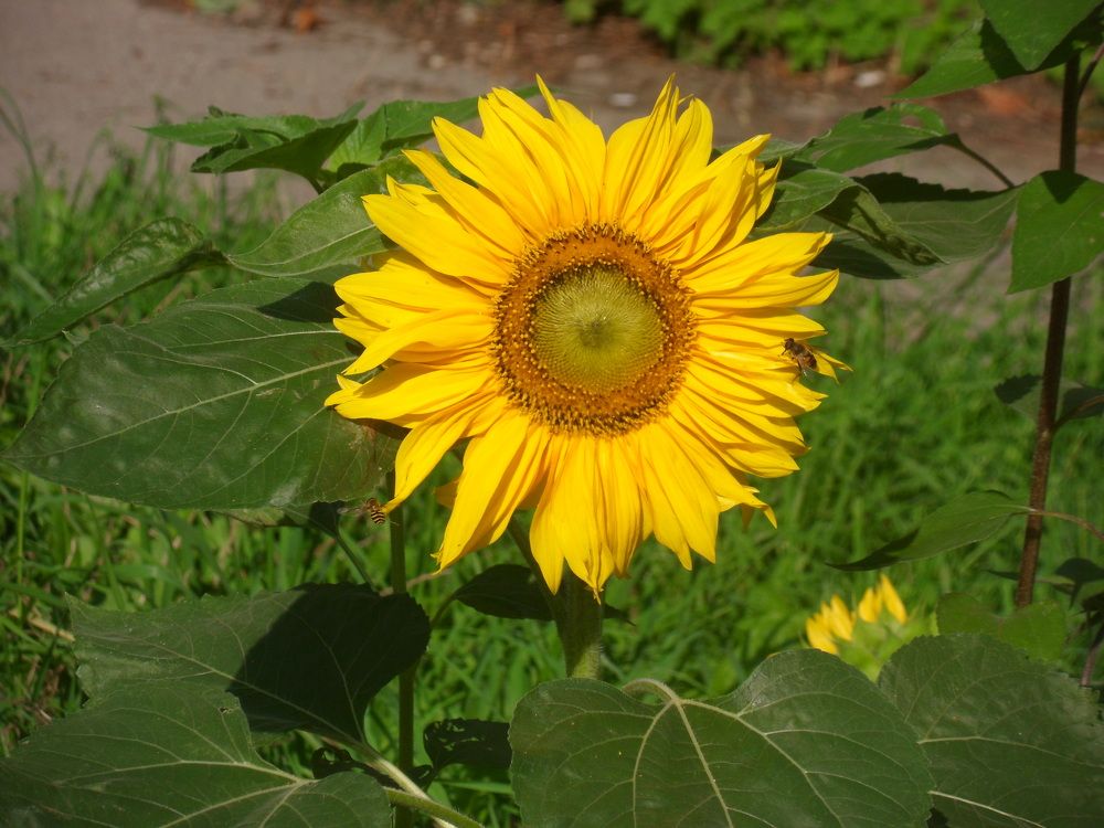 Photograph by Маша Худякова