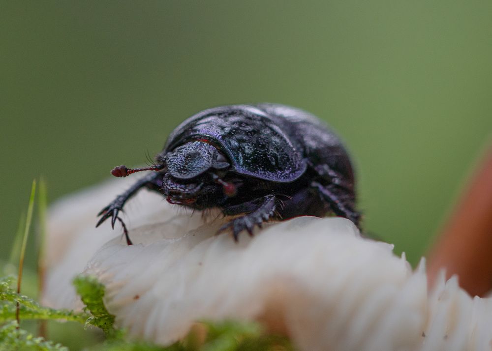 Photograph by LYUDMYLA POKRYSHEN