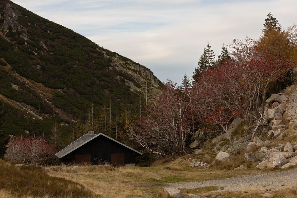 Photograph by Карина Онисенко