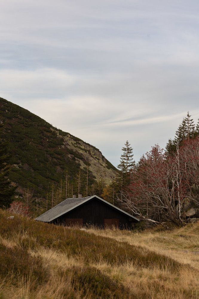 Photograph by Карина Онисенко