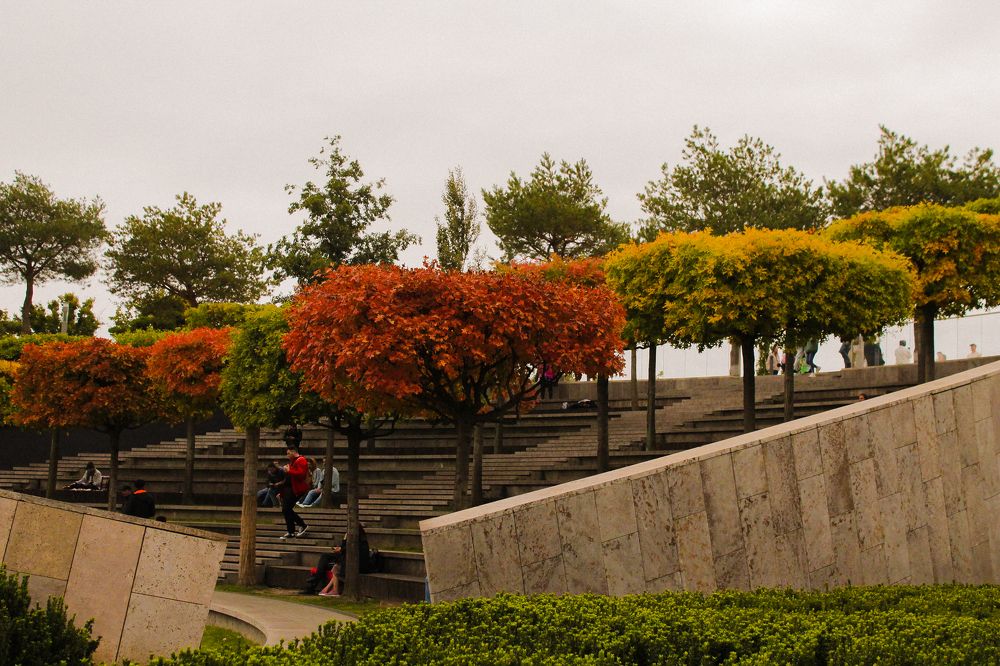 Фотография автора Таня Долгушева