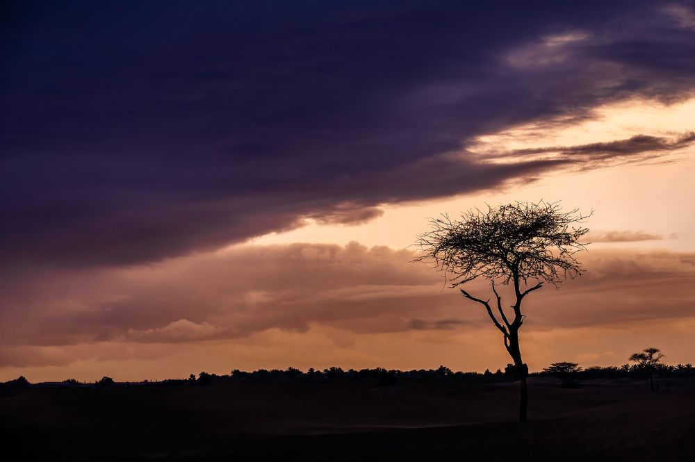 Photograph by Babar Swaleheen