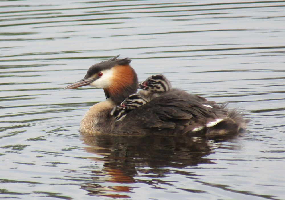 Photograph by Татьяна