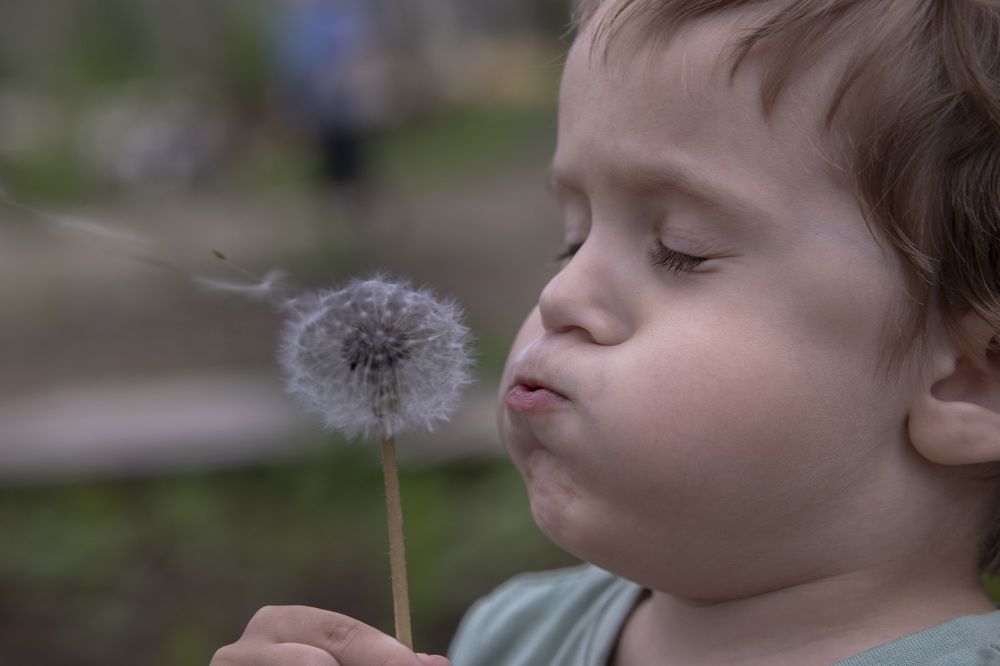 Ветер ветер, ты могуч