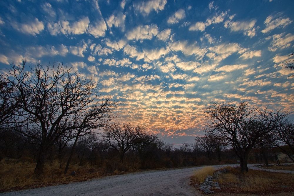 Небо в овчинку