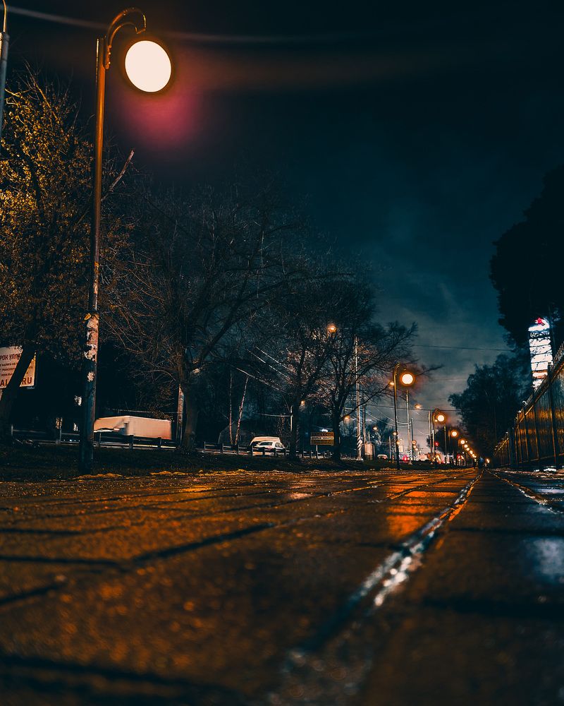 Последний день осени / The last day of autumn