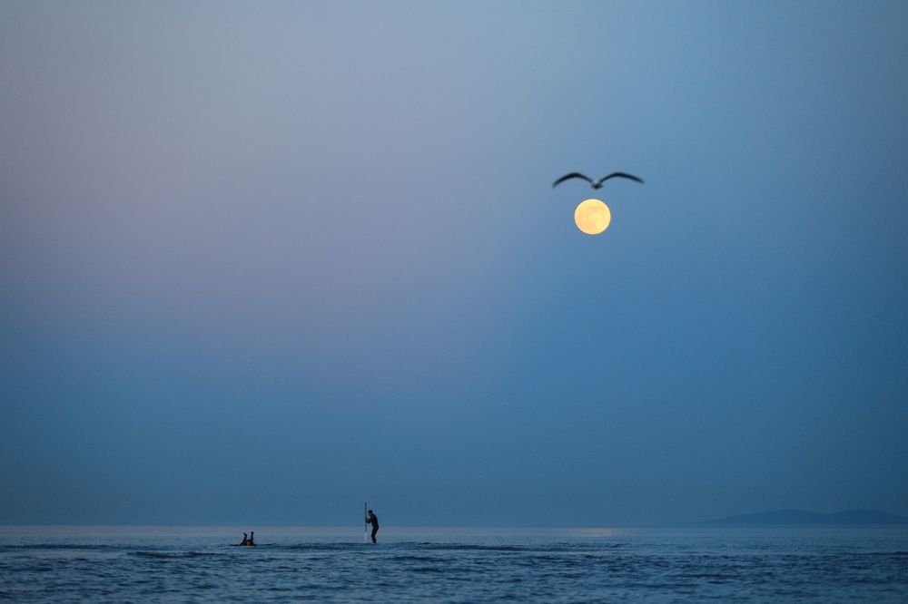 Photograph by Dmitriy Marchenko