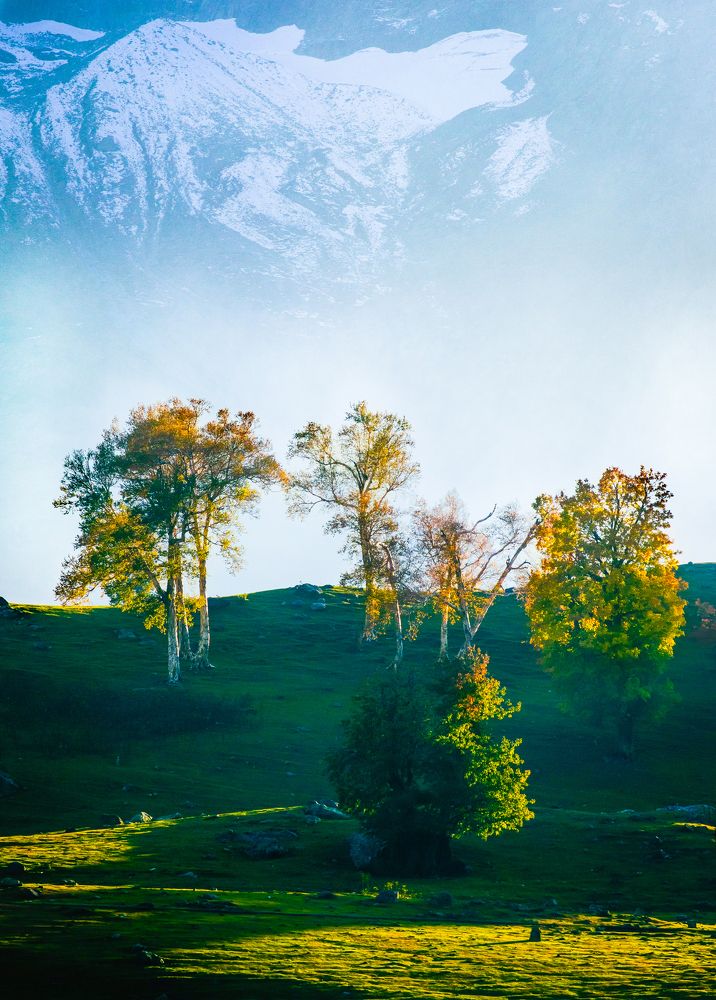 Photograph by Bondhu Dey