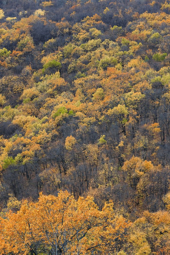 Photograph by Ольга Мазлова