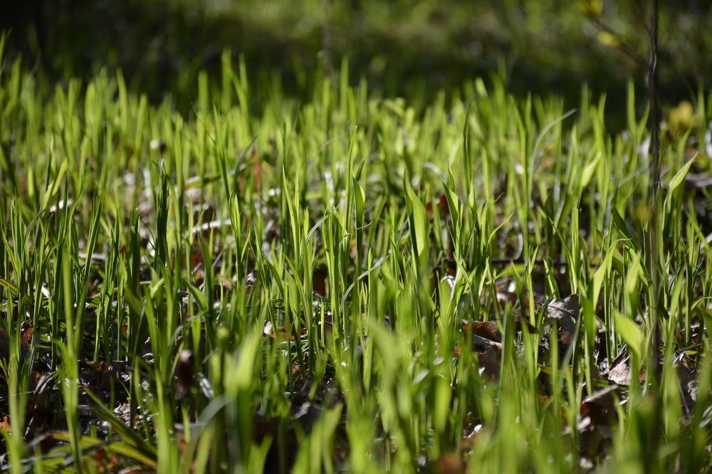 Photograph by Дарья Витальевна