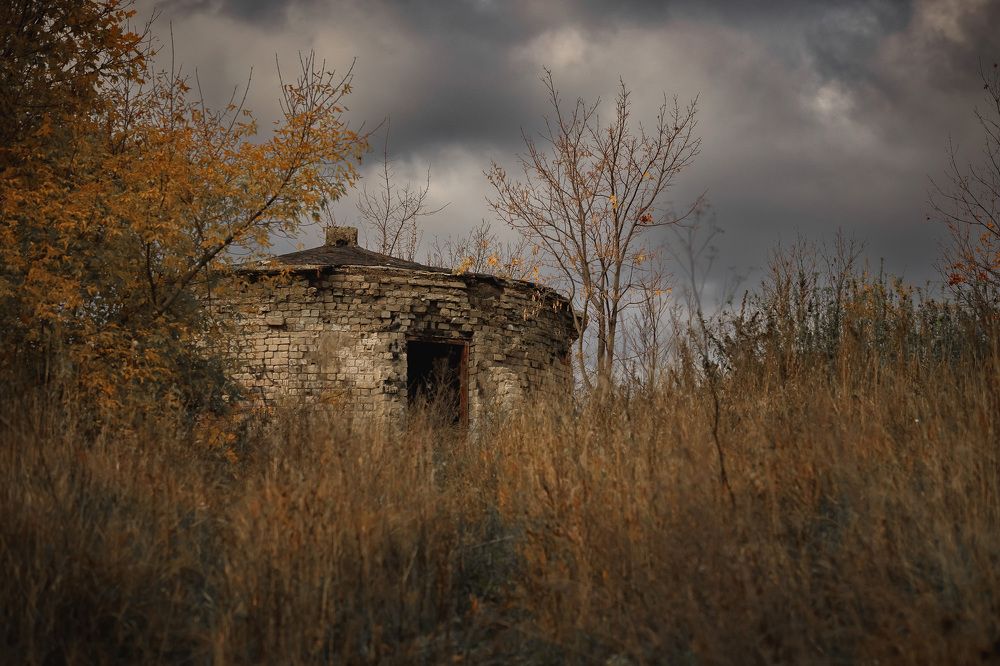 Photograph by Ольга Мазлова