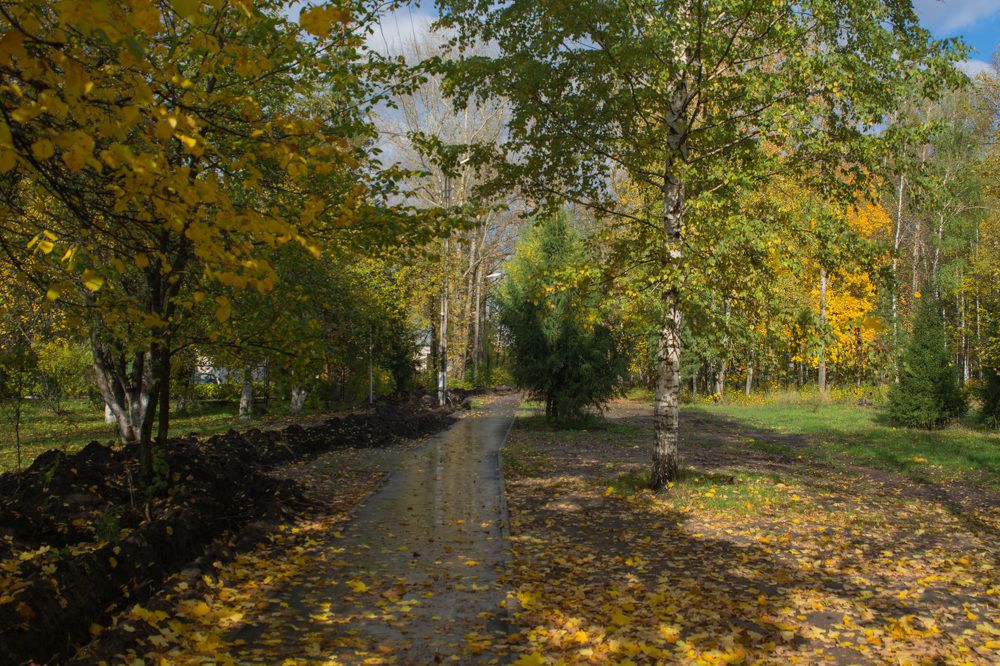 Photograph by Вячеслав Куксенков