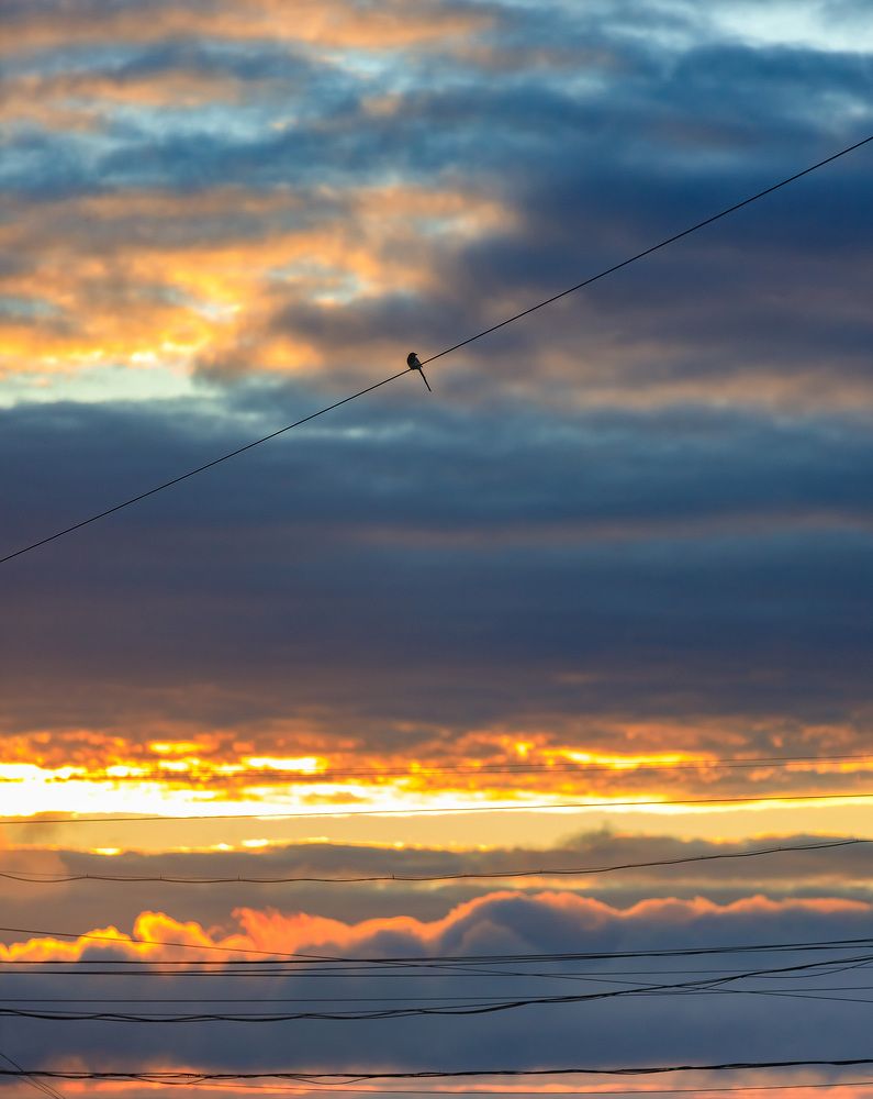 Photograph by Ольга Мазлова